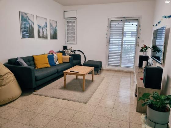 זכריה חתוכה 10