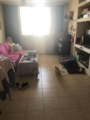 צה"ל 25 (בן דור)