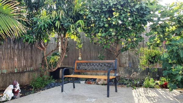 המנגו 5 (רמות וייצמן)