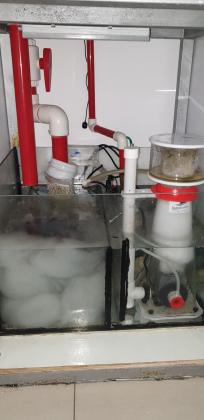 למכירה אקווריום 60×60×60 כולל צנרת