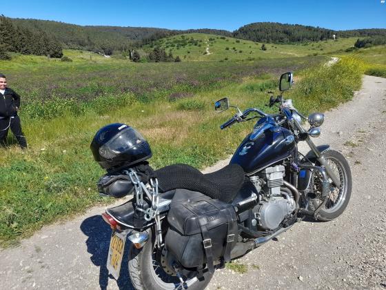 קאוואסאקי EN500 (2000)