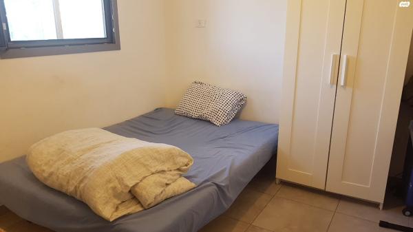 אריה לובה אליאב 20 (זיו)