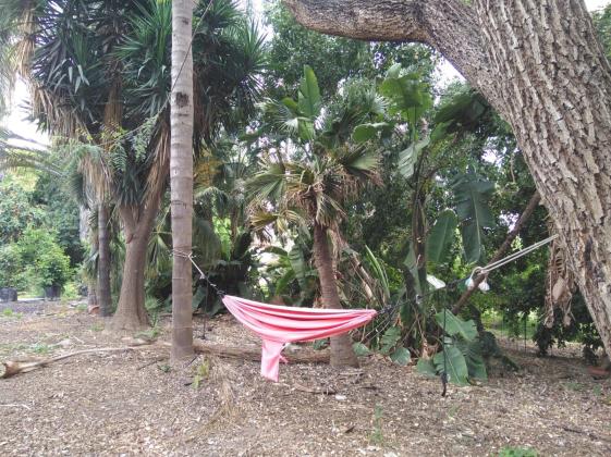 בן ציון פוגל 15