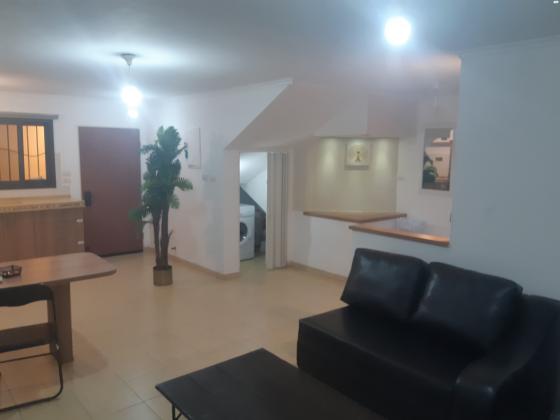 זבולון המר 33