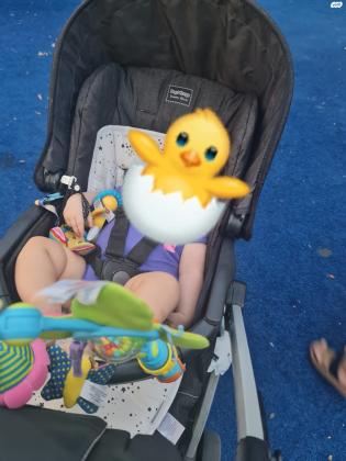 עגלת פג פרגו בוק פלוס בצבע ג'ינס כהה