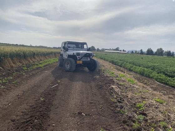 ג'יפ תע''ר סופה (1995)