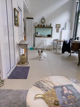 יהודה הימית 22 (מרכז יפו מערבית לשדרות ירושלים)