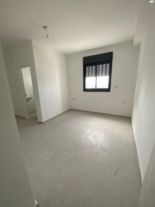 דולפין 1 (גלי כרמל, ז'בוטינסקי)