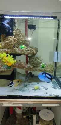 למכירה אקווריום 60×60×60 כולל צנרת