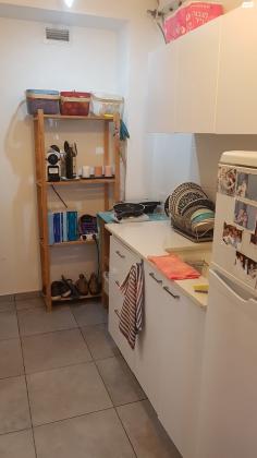 אריה לובה אליאב 20 (זיו)