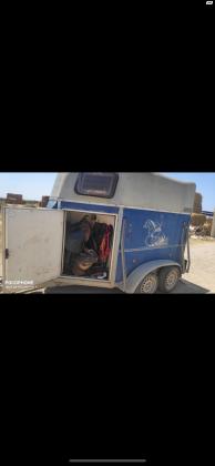 קרון למכירה של החברה בוקמן