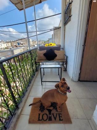 מוהליבר 15 (קרית ים ג)