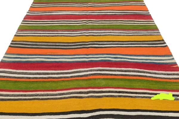 צמר מלא, הכי יפה בקטגוריה