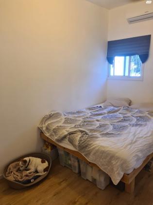 גולומב 52 (שפירא)