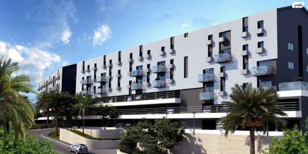 אריה לובה אליאב 20 (זיו)