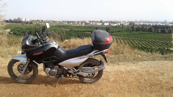 סוזוקי פריווינד XF650 (1998)