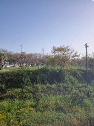 הגיחון 11 (דקר)