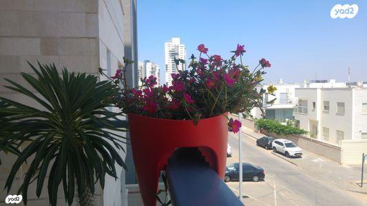 פרופ' יובל נאמן 17 (רחובות המדע)