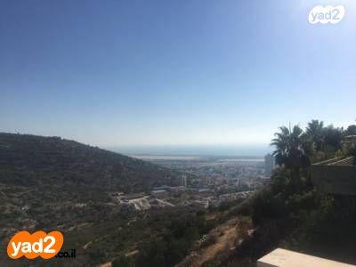 הוד הכרמל, דניה