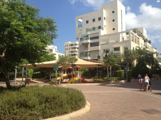 שרגא פרידמן (רמת אביב החדשה)