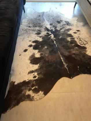 שטיח עור פרה צבע מיוחד