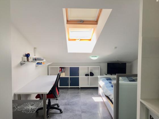 אריה לובה אליאב 18 (זיו)