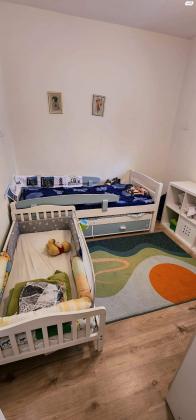 אלכסנדר סשה ארגוב 21 (המשתלה)