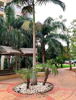 יעל רום 20 (אם המושבות)