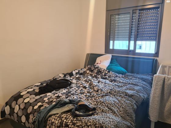 יונה בוגלה (כלניות)