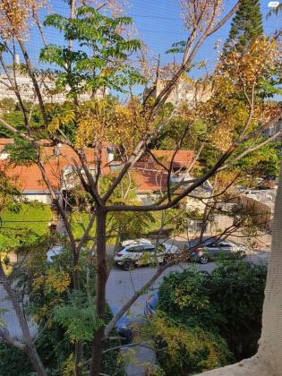 צמחי היהודים (רמת אביב)