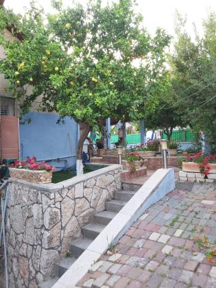 דם המכבים 22 (מרכז העיר)