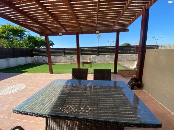 כנרית (צפון הכרם)