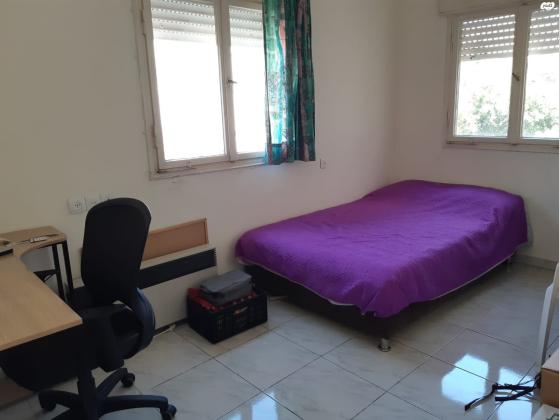 פינסקר 33 (זיו)