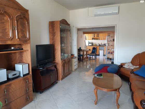 פינסקר 33 (זיו)