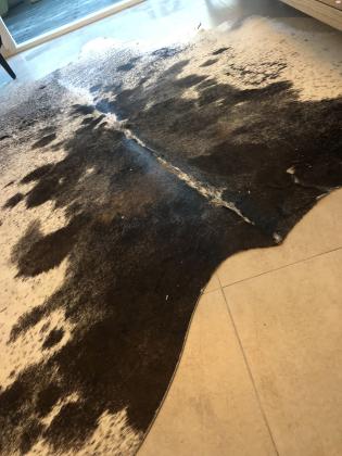 שטיח עור פרה צבע מיוחד