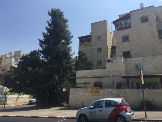 צונדק 127 (רמות)