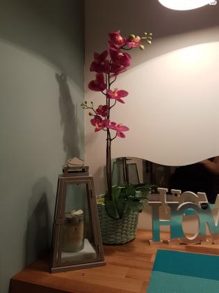 מעלה הגיבורים (בן דור)