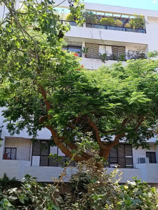 הסבוראים 15 (נוה אביבים)