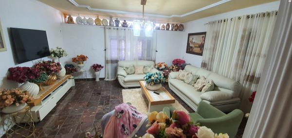 מרבד הקסמים 31