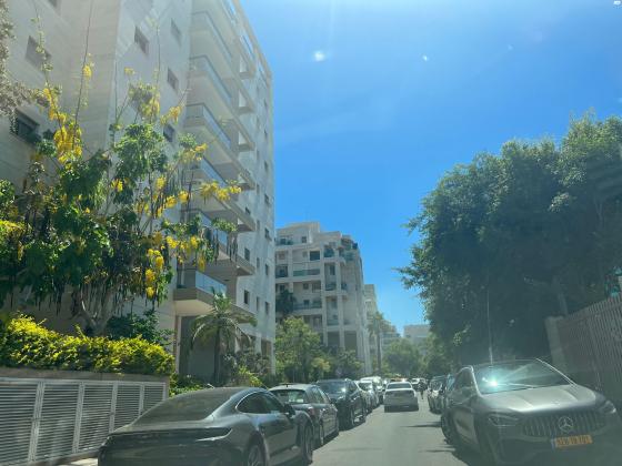 שרגא פרידמן (רמת אביב החדשה)