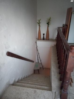 מרדכי אנילביץ' 3 (רמת אפרים)