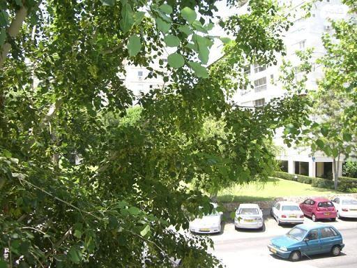 רב אשי (נוה אביבים)