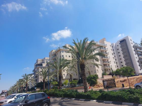 הרב יהודה צבי מלצר 20 (מילר;מלצר)