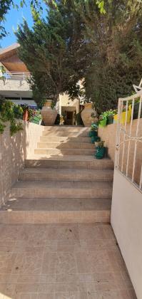 מרבד הקסמים 31