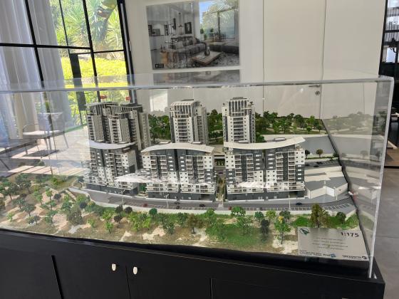 ברל כצנלסון 76 (זיו)