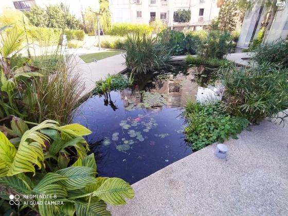 רמז 6 (הצפון החדש סביבת ככר המדינה)