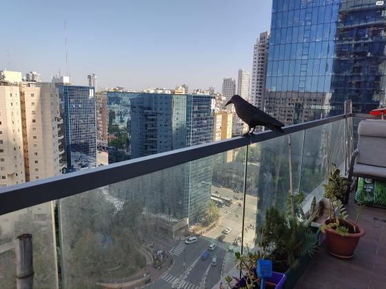 הרי הגלעד (הבורסה)