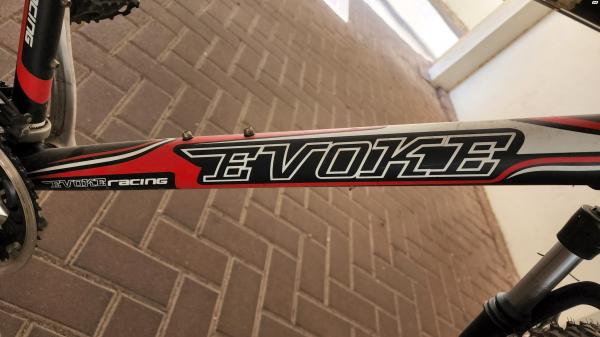 בהזדמנות אופניים מקצועיות אמיתיות כחדשות