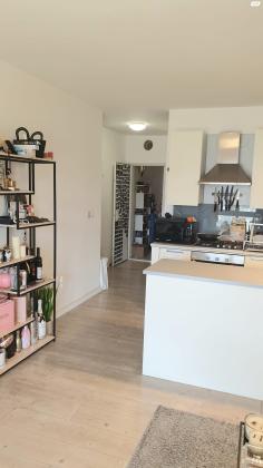 אביגדור סטימצקי 4 (רמת אביב החדשה)