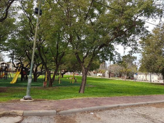 מודעה מספר 8524341